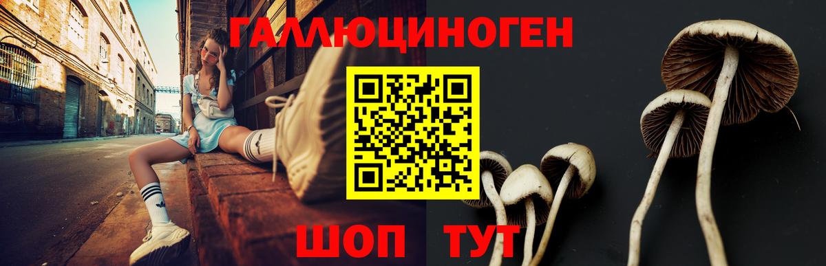 Псилоцибиновые грибы прущие грибы  Вход с VPN  Псилоцибиновые грибы мухоморы  Благовещенск 
